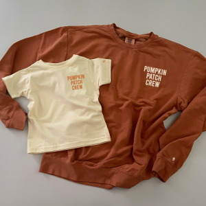 Pumpkin Patch Crew – Lightweight Comfort Colors® Pullover